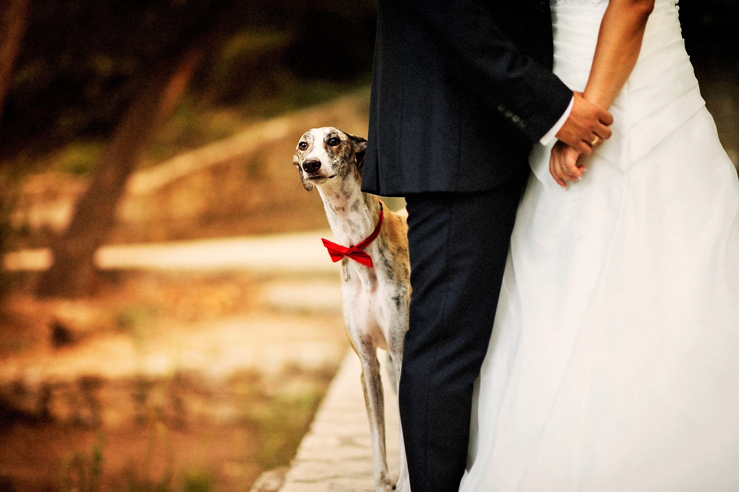 How does marriage affect my Will?