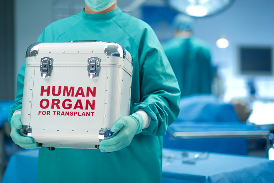 Can I donate my body, organs or tissue upon my death?